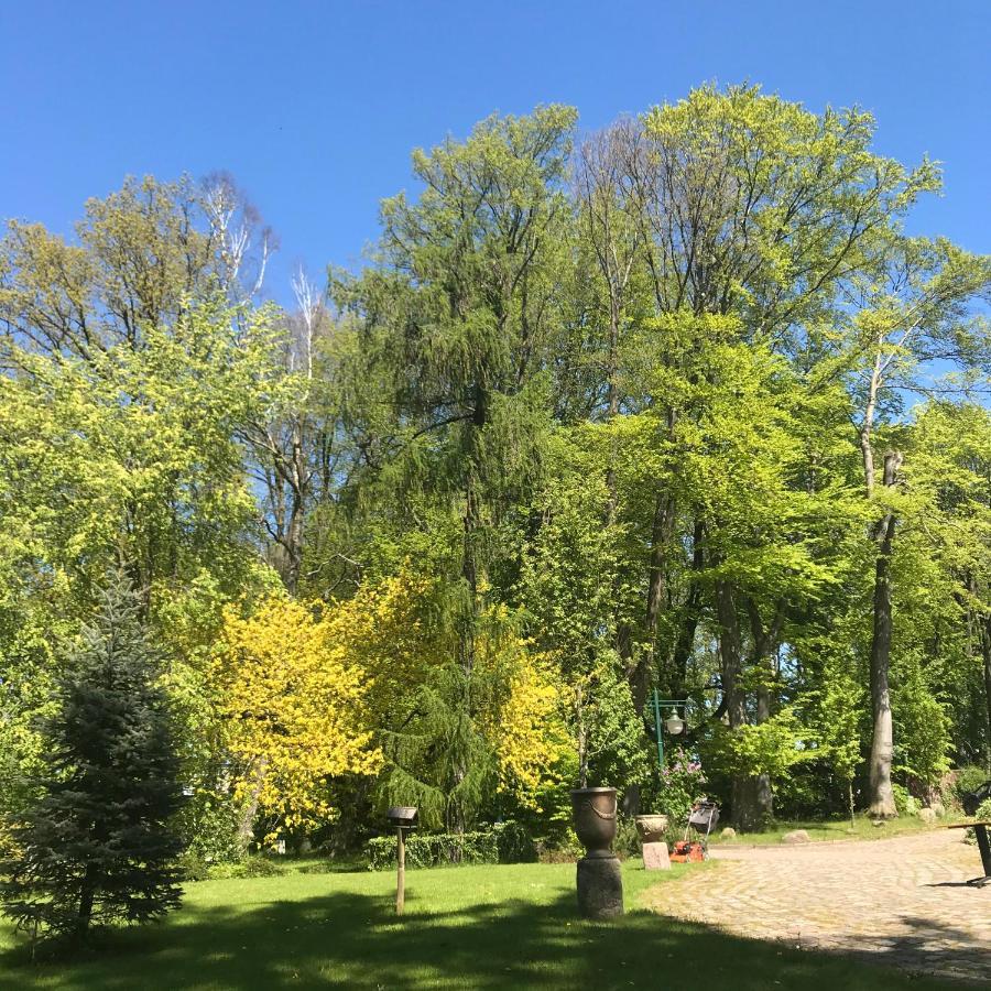 Lisewski Dwor Gniewino Bagian luar foto